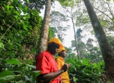 Low-angle shot of workers in a forest